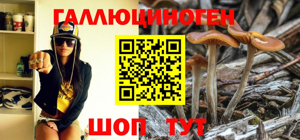 Знаменск  Галлюциногенные грибы Cubensis  Вход с VPN  Галлюциногенные грибы прущие грибы 